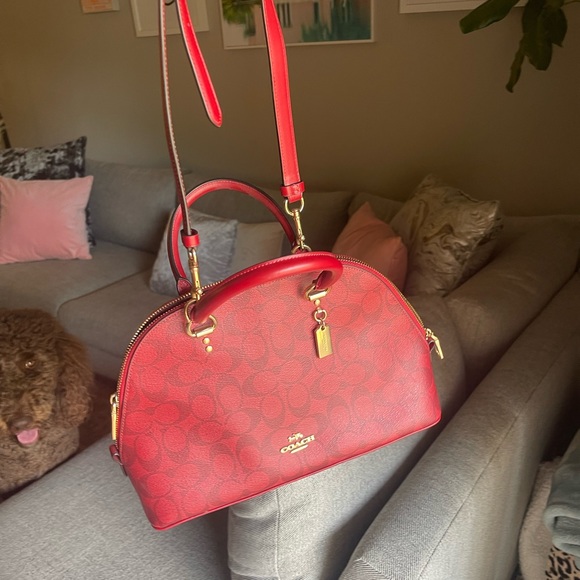 Gently used only 1 time - Picture 4 of 5